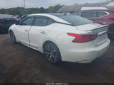 Nissan Maxima 3.5 Sl 1N4AA6AP4HC393629 снимка