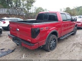 Ford F-150 Fx4 1FTFW1EF8BFA92101 снимка
