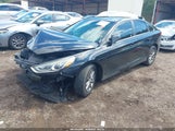 Hyundai Sonata Se 5NPE24AF5KH754477 снимка