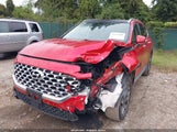 Hyundai Santa Fe Limited 5NMS4DALXMH315956 fotografie
