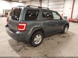 Ford Escape Xlt 1FMCU0DG8AKC66800 снимка