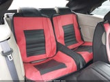 Ford Mustang V6/V6 Premium 1ZVBP8EN4A5167910 photo