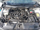Honda Civic Ex-L 2HGFC1F79HH646142 снимка