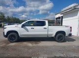 Chevrolet Silverado  4Wd Short Bed Lt Trail Boss/4Wd Standard Bed Lt Trail Boss 1GCPYFEL9MZ438241 photo