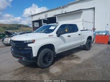 Chevrolet Silverado  4Wd Short Bed Lt Trail Boss/4Wd Standard Bed Lt Trail Boss 1GCPYFEL9MZ438241 снимка