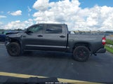 Toyota Tundra Trd Pro 5TFDY5F19MX995527 fotografie