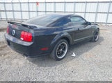 Ford Mustang Gt Deluxe/Gt Premium 1ZVHT82H675250977 photo