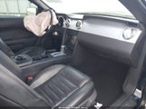 Ford Mustang Gt Deluxe/Gt Premium 1ZVHT82H675250977 photo
