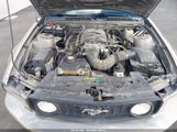 Ford Mustang Gt 1ZVFT85H755185752 снимка