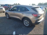 Ford Escape Se 1FMCU9G61MUA13981 снимка