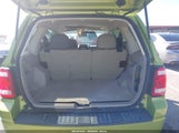 Ford Escape Xlt 1FMCU0DG4BKB52861 fotografie