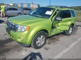 Ford Escape Xlt 1FMCU0DG4BKB52861 снимка