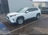 Toyota Rav4 Xle JTMW1RFV2LD044965 снимка