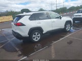 Toyota Rav4 Xle JTMW1RFV2LD044965 снимка