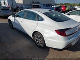 Hyundai Sonata Sel 5NPEL4JAXMH068097 снимка