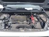 Toyota Rav4 Xle JTMW1RFV7LD055346 снимка