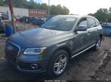 Miniaturka zdjęcia 2