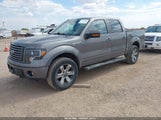 Ford F-150 Fx4 1FTFW1EF2BFA72068 fotografie