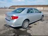 Toyota Corolla Le JTDBL40E19J048049 снимка