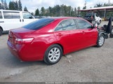 Toyota Camry Xle V6 4T1BK46K49U092007 photo