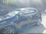 Lexus Nx 350 Premium JTJGGCEZXN5001800 fotografie