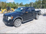 Ford F-150 Fx4 1FTFW1ET4BKD73020 снимка