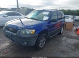Ford Escape Xlt 1FMYU93155KA61108 снимка