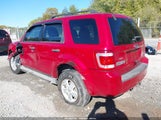 Ford Escape Xlt 1FMCU9DG0BKB51064 снимка