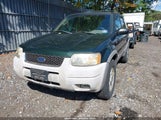 Ford Escape Xlt 1FMCU04161KF64662 fotografie