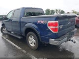 Ford F-150 Fx4/Harley-Davidson/King Ranch/Lariat/Platinum/Xl/Xlt 1FTFW1EVXAFD59812 снимка