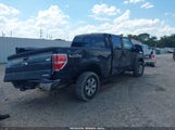 Ford F-150 Xlt 1FTFW1EF5EKF80904 снимка