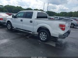 Ford F-150 Xlt 1FTFW1CF6EKG54608 снимка