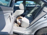 Toyota Camry Le 4T4BF3EK9BR161737 снимка