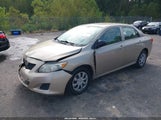 Toyota Corolla Le 2T1BU4EE2AC279872 fotografie