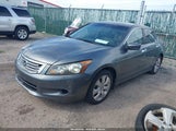 Honda Accord 3.5 Ex-L 1HGCP36858A074397 photo