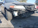 Acura Tsx JH4CL96865C026841 снимка