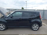 Kia Soul + KNDJP3A53E7078587 fotografie