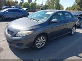 Toyota Corolla Le 1NXBU40E19Z125297 снимка