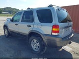 Ford Escape Xlt/Xlt Sport 1FMYU03106KA84437 fotografie