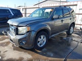 Ford Escape Xlt 1FMCU9D72BKB91999 fotografie