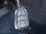 Miniaturka zdjęcia 11