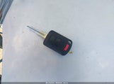 Miniaturka zdjęcia 11