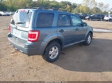 Ford Escape Xlt 1FMCU0D7XBKB21789 снимка
