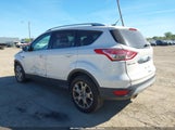 Ford Escape Titanium 1FMCU0JX1EUB27705 fotografie