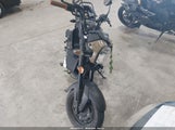 Miniaturka zdjęcia 5
