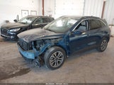 Ford Escape Sel 1FMCU0H6XLUB98105 снимка