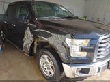 Ford F-150 Xlt 1FTEW1EP0FKD39693 снимка
