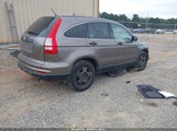 Honda Cr-V Lx 5J6RE3H37AL044080 photo