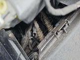 Chevrolet Equinox Fwd 2Fl 2GNAXJEV0M6106933 photo