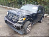 Dodge Nitro Heat 1D4PT4GK3BW514139 fotografie